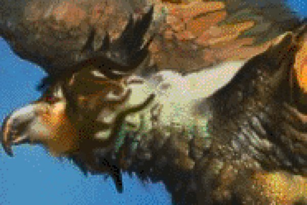 Kraken com login