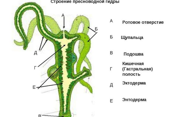 Kraken ссылка kraken clear com